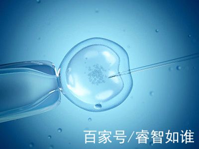 陈主任